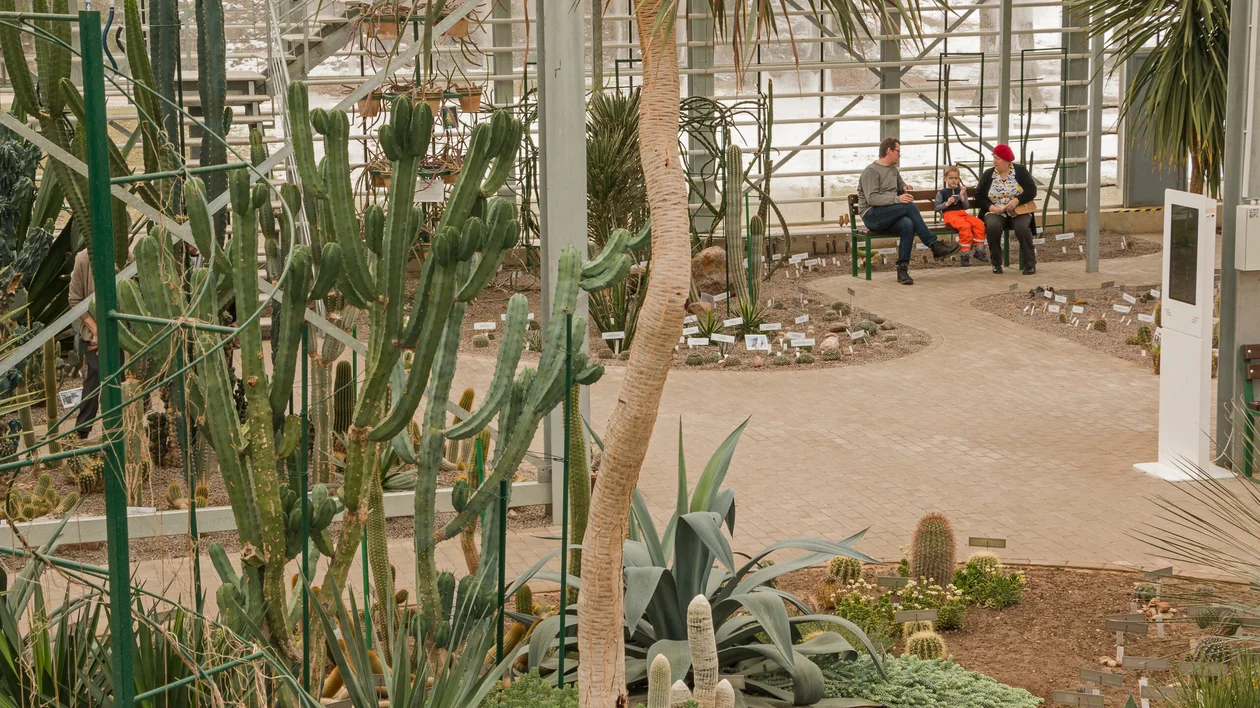 View of a greenhouse with cactus and other exotic trees, with a family sitting on a bench in the background.