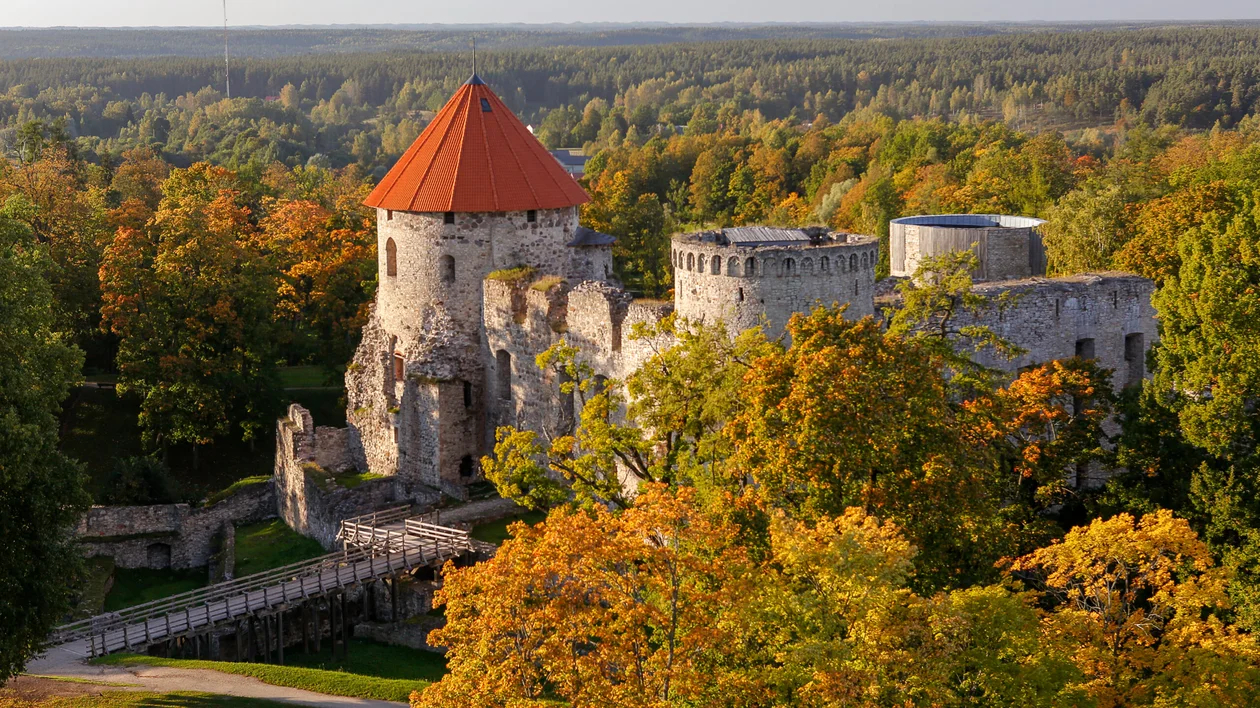 Aerial view of a medieval castle surrounded by autumn trees.