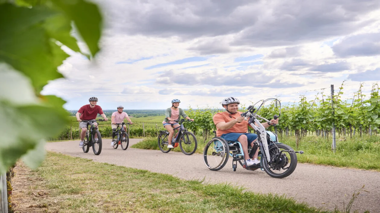 Four people biking on a path by a vineyard under a cloudy sky. One of them is using an handcycle.