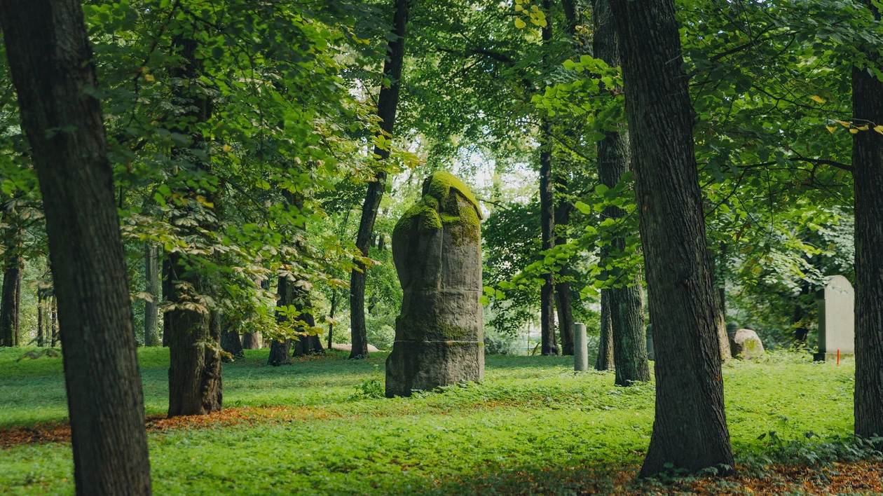 The Great Cemetery in Riga surrounded by a green background.
