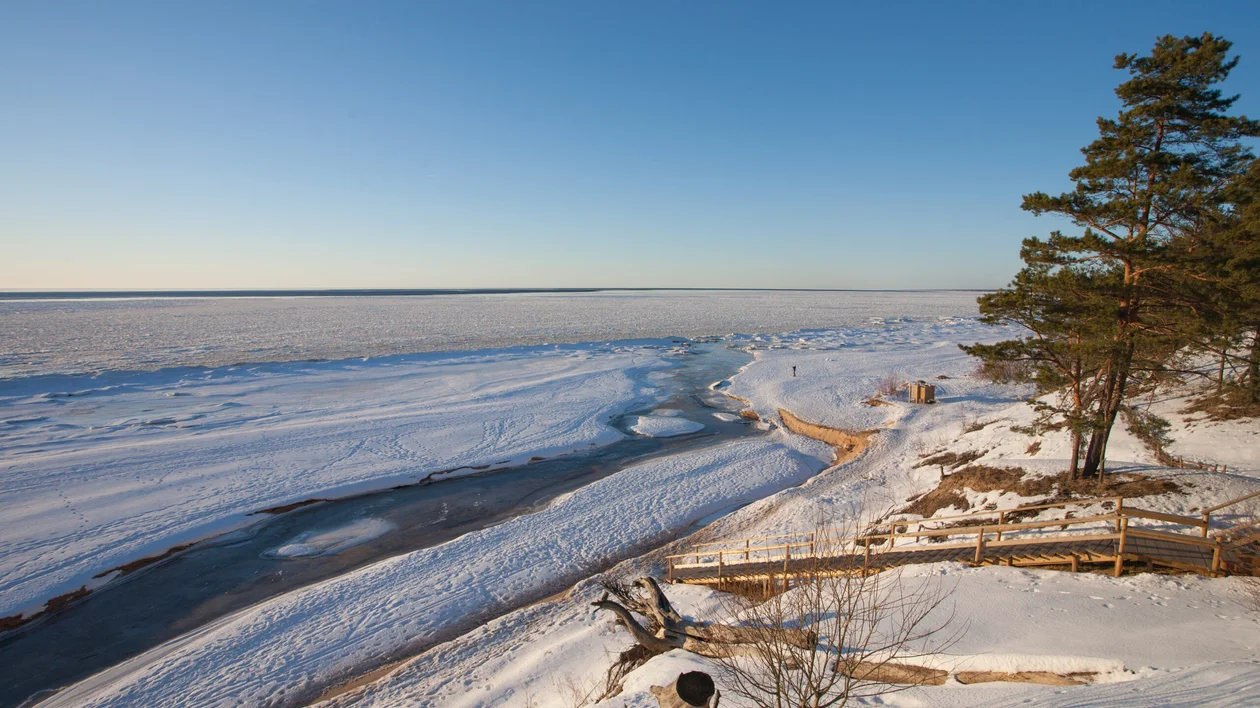 Winter beachscape with snow, ice, wooden pathway, and a tree under a clear sky.