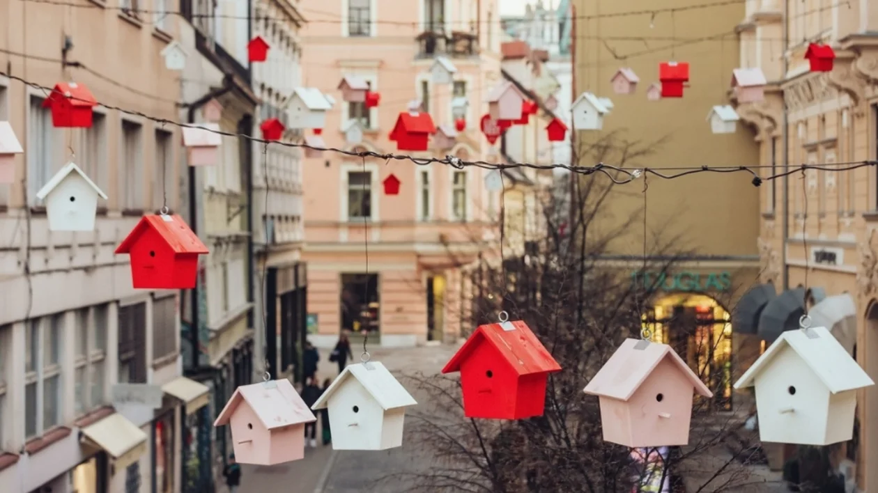 Colorful birdhouses hanging on a wire in an urban street.