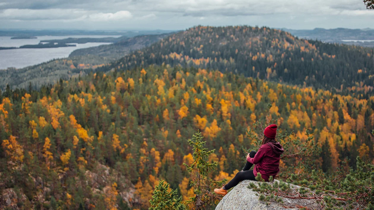 Person sitting on cliff overlooking autumn-colored forest and lake.