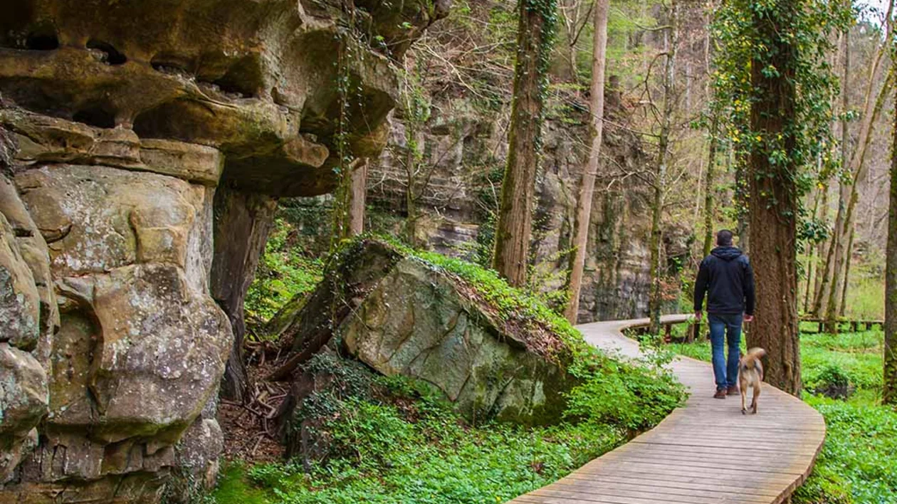 Hiker on the Mullerthal Trail, Luxembourg