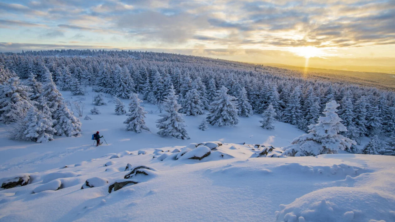 Snowy forest at sunset with a single person trekking.