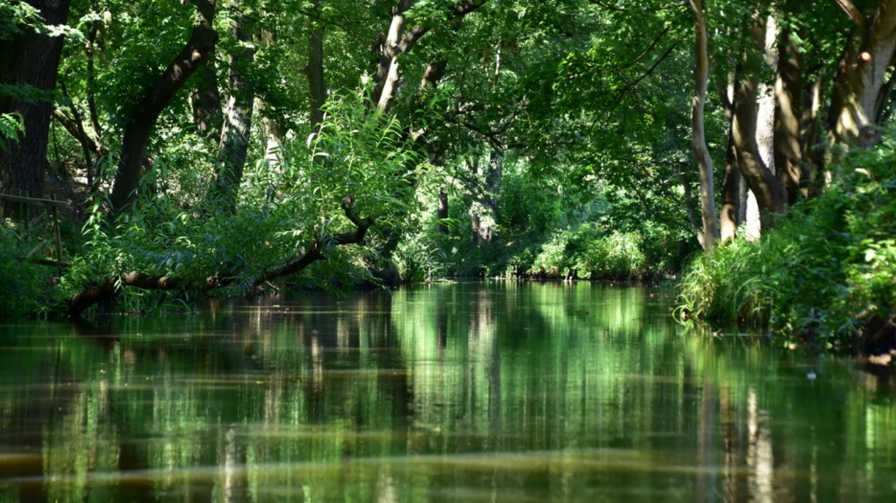 A serene river scene with lush green trees reflecting on calm waters, creating a tranquil and inviting natural landscape.