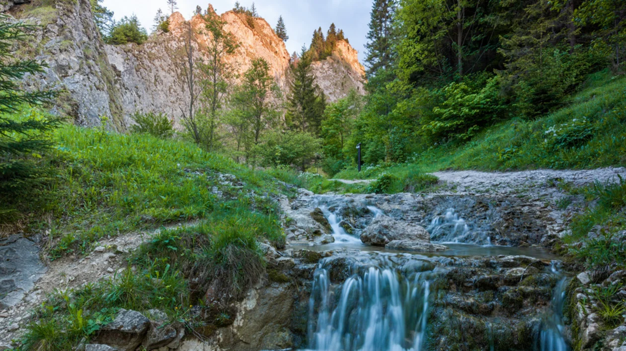 A serene mountain stream flows through a lush green valley, bordered by steep cliffs and trees illuminated by soft sunlight.