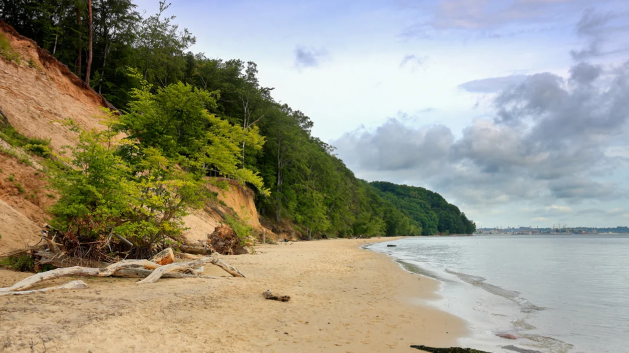 Serene beach scene with sandy shore, lush green trees, and a cloudy sky reflecting over calm water, showcasing a peaceful natural landscape.