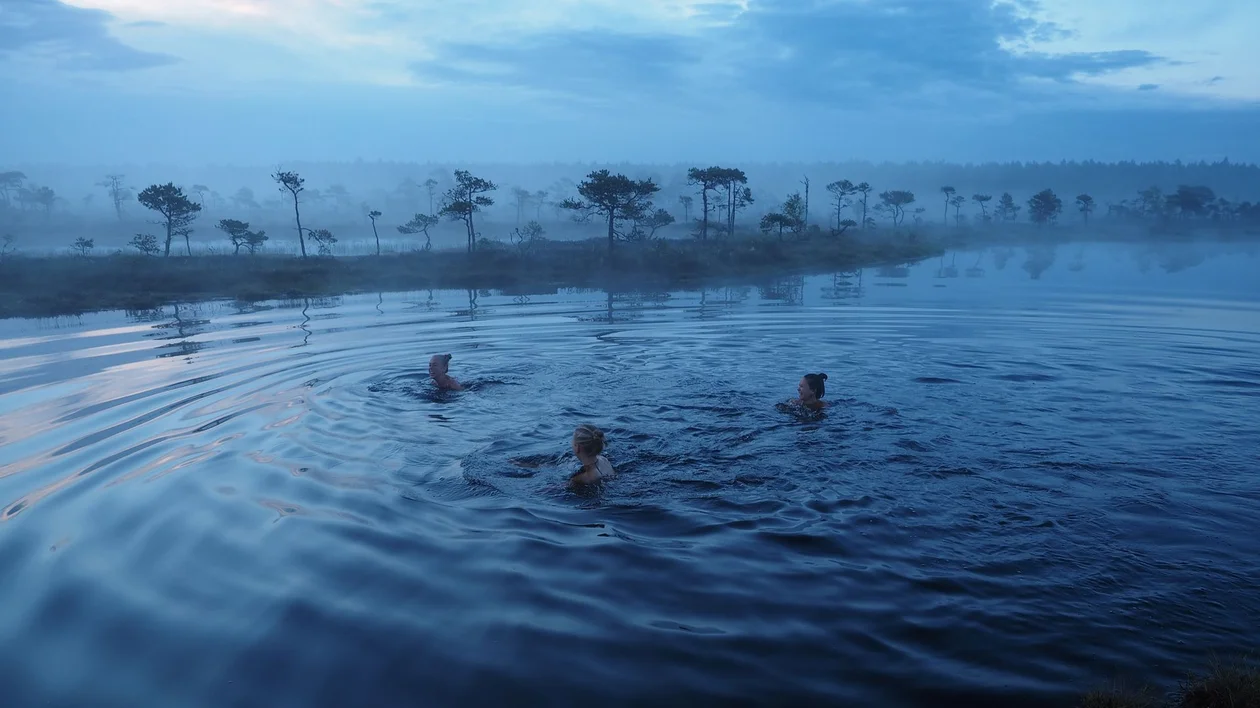 Three people swim in a misty blue lake surrounded by silhouettes of trees, evoking a serene and tranquil atmosphere at dawn.