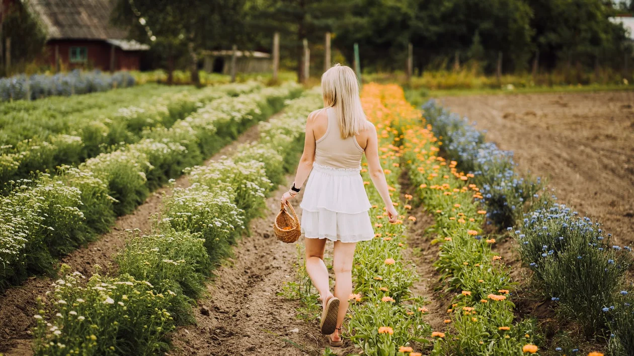 A woman in a white dress walks through a vibrant flower field with orange and blue blooms, carrying a woven basket.