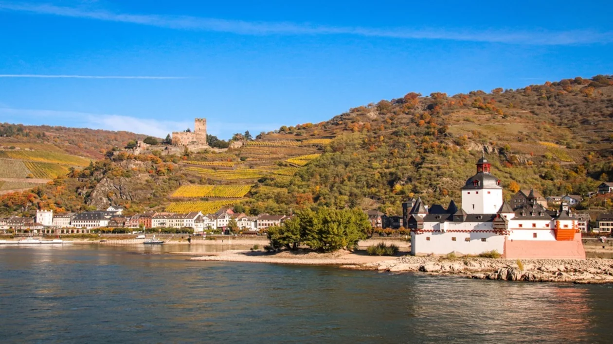 A scenic view of the Rhine River featuring a white castle and a hillside dotted with vineyards, backed by a clear blue sky.