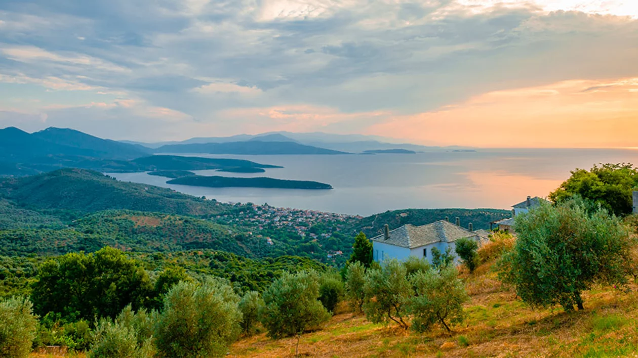 Scenic view of the Pelion region in Greece, with olive groves, mountains, and the sea at sunset.