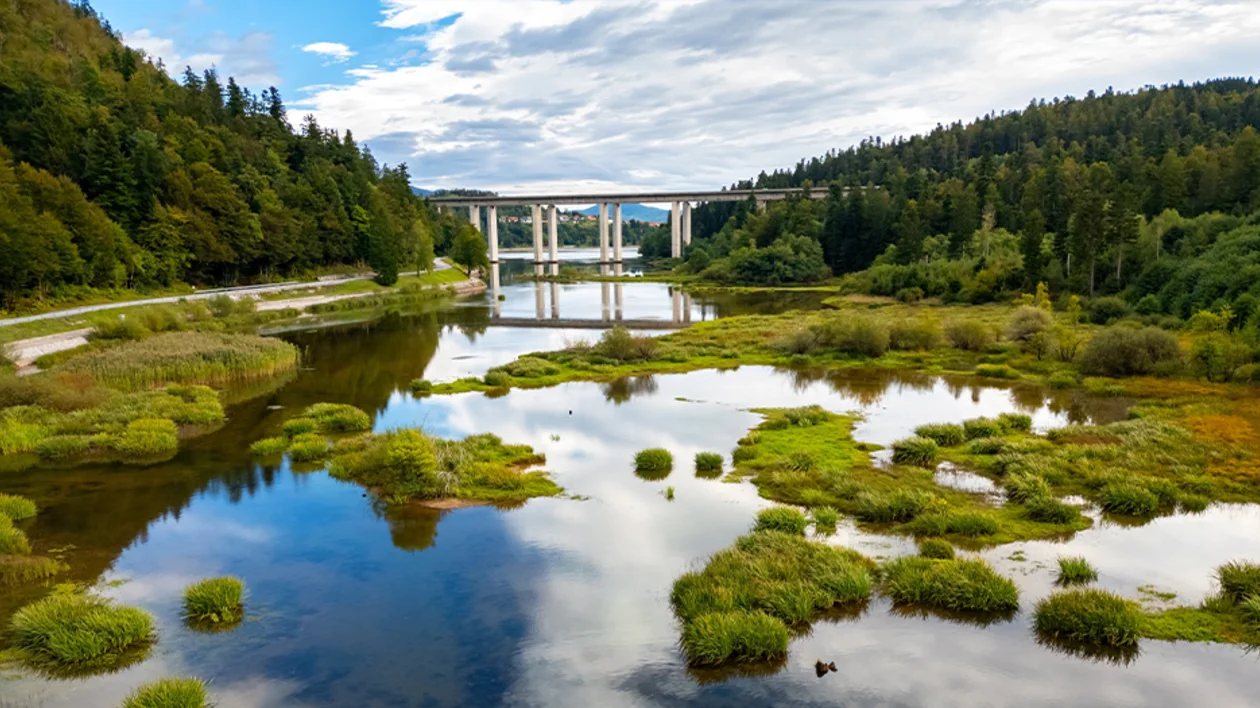 Peaceful lake with grassy islets and a bridge in the background.