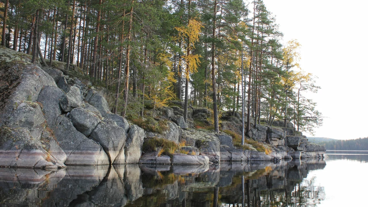 Rocky shoreline and pine forest reflected in the calm waters of Kolovesi National Park, Finland.