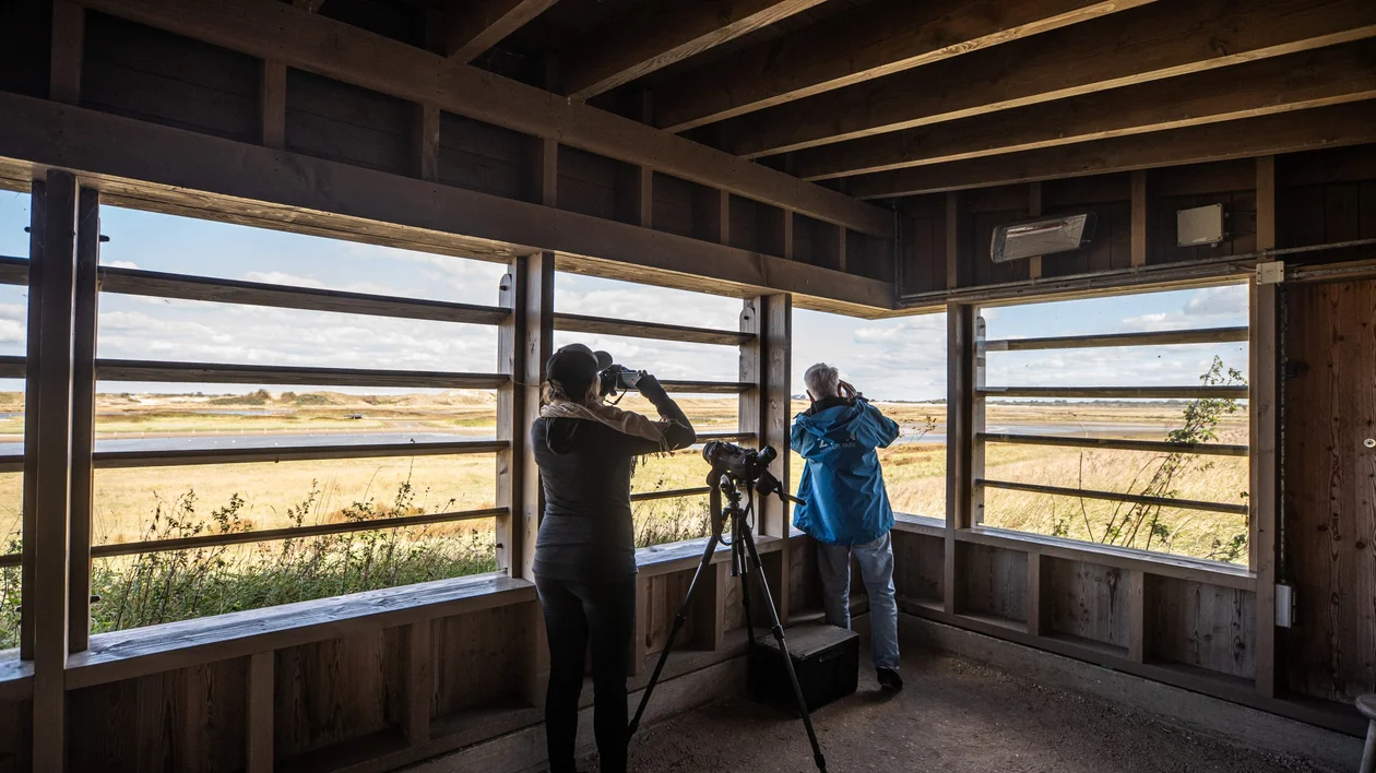Birdwatchers observing from a wooden hut in Zwin Nature Park.