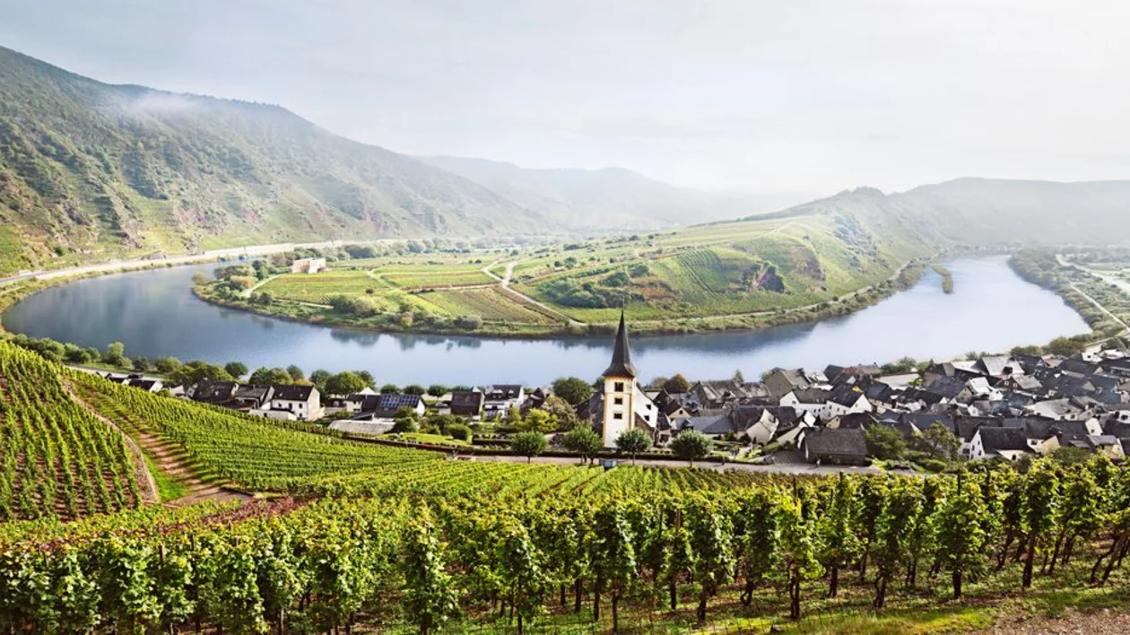 Panoramic view of the Moselle River loop in Bremm, Germany, surrounded by steep vineyards and a village with a church spire.