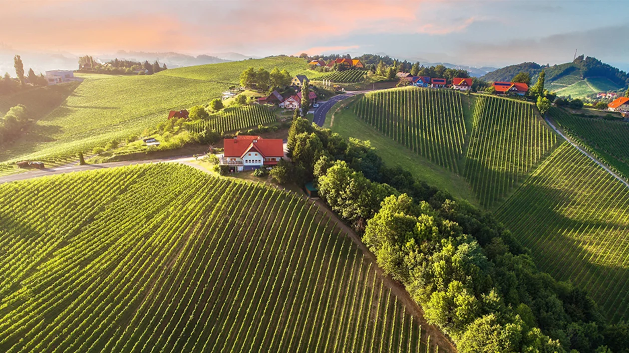 Panoramic drone view of South Styria’s rolling vineyards and wine villages at sunrise, Austria’s famous wine region.