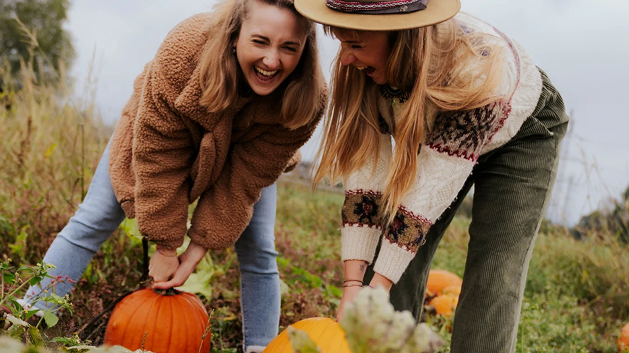 Two women harvesting pumpkins in a field in Styria, Austria, enjoying autumn farm traditions.