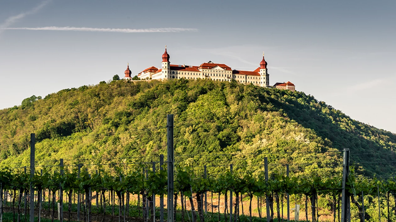 Aerial view of Göttweig Abbey on a sunny day, surrounded by lush green vineyards and forested hills.