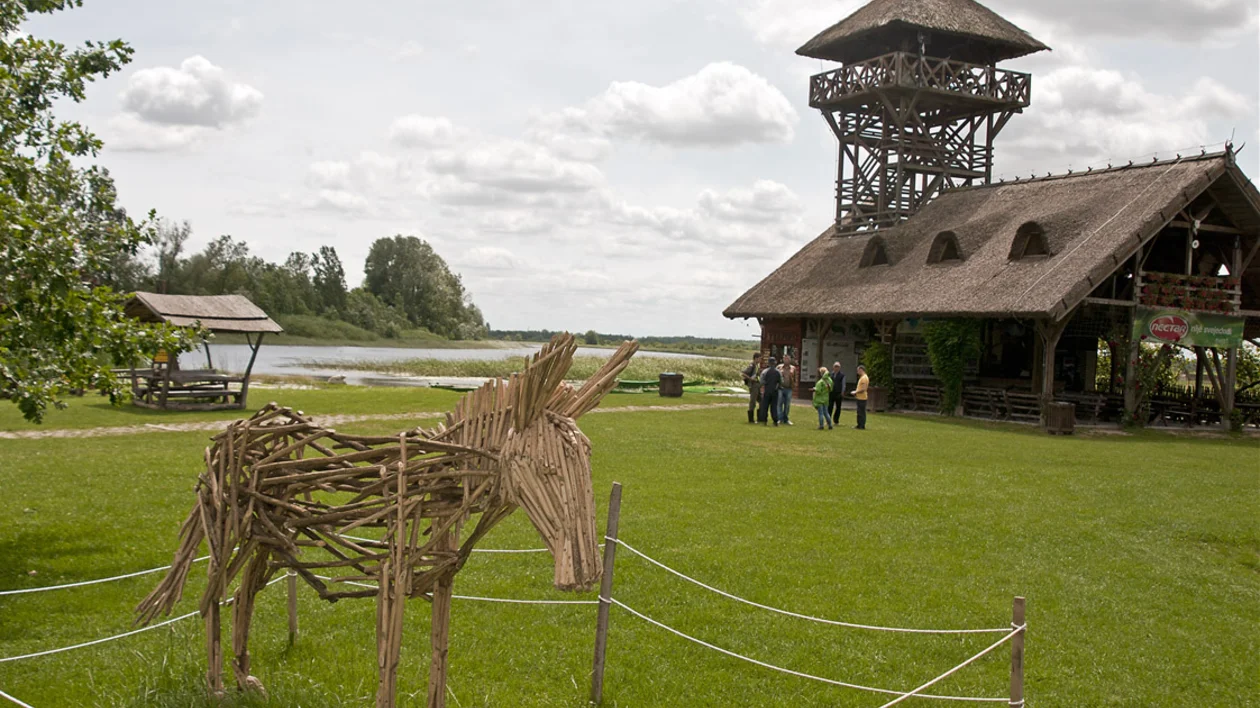 Zasavica Nature Reserve visitor centre with wooden tower, grassy lawn and donkey sculpture