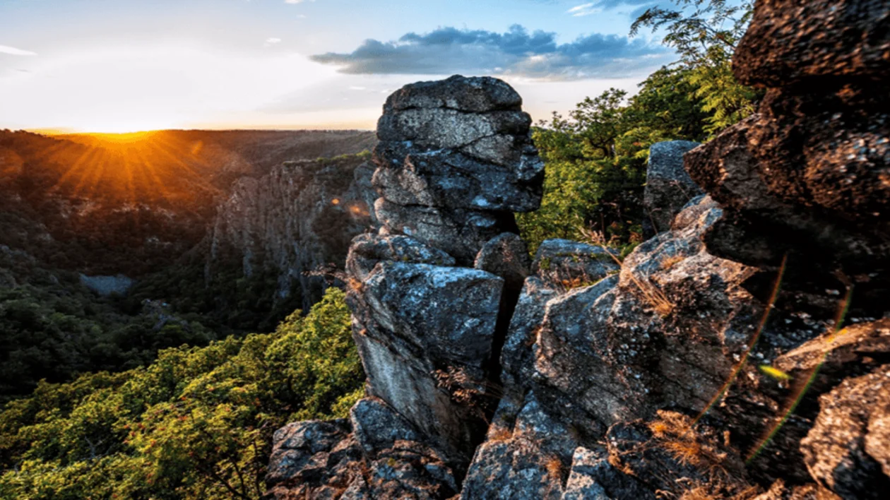 Sunset over a heavily forested canyon, seen from a rocky outcrop that resembles a human face profile.