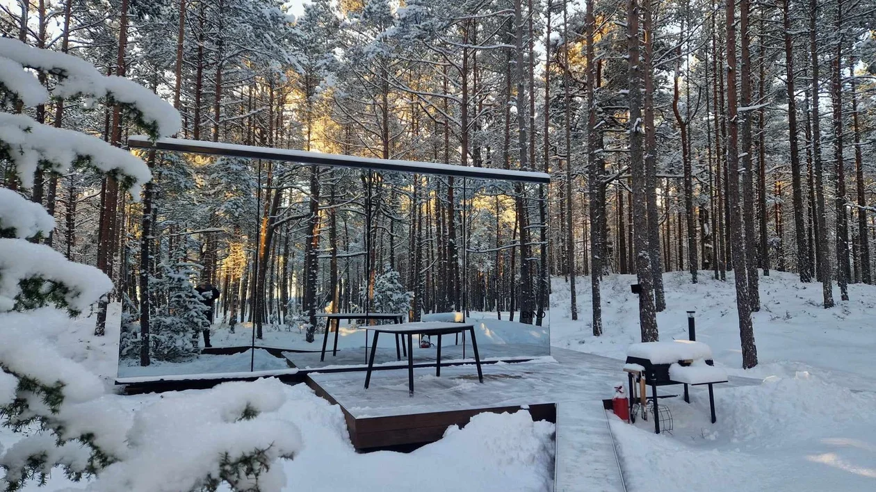 Snow-covered forest cabin terrace surrounded by pine trees in winter