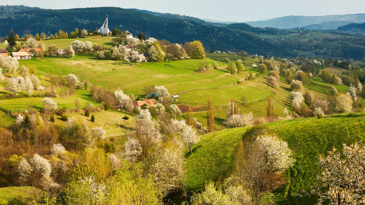 Rolling green hills with blooming trees and scattered houses under a blue sky.