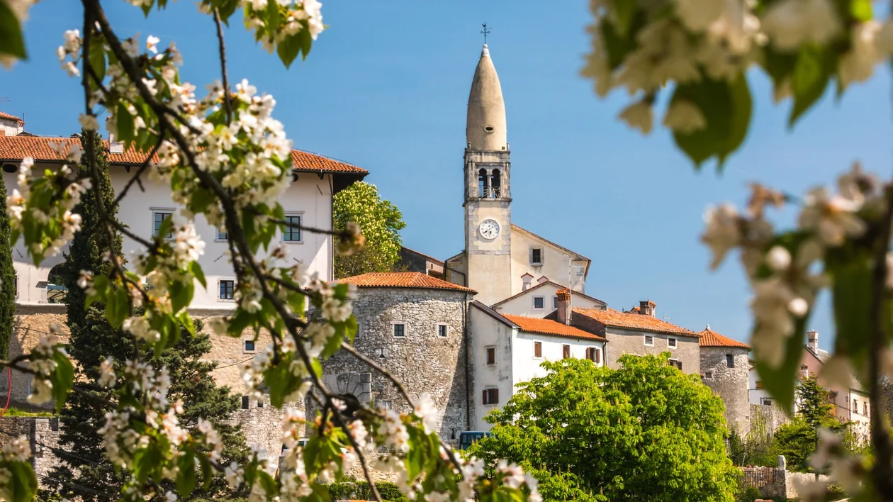 Stone village with church tower framed by spring blossoms