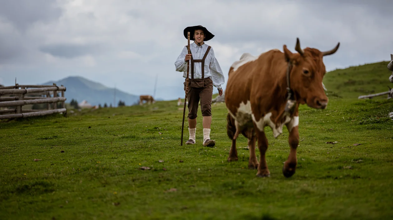 Person in traditional clothing herding a brown cow on a grassy hillside.