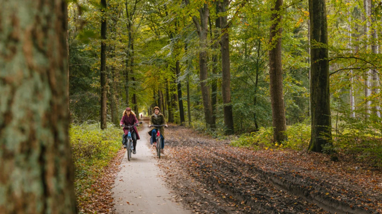 Two people riding bikes on a forest path lined with tall trees and autumn leaves.