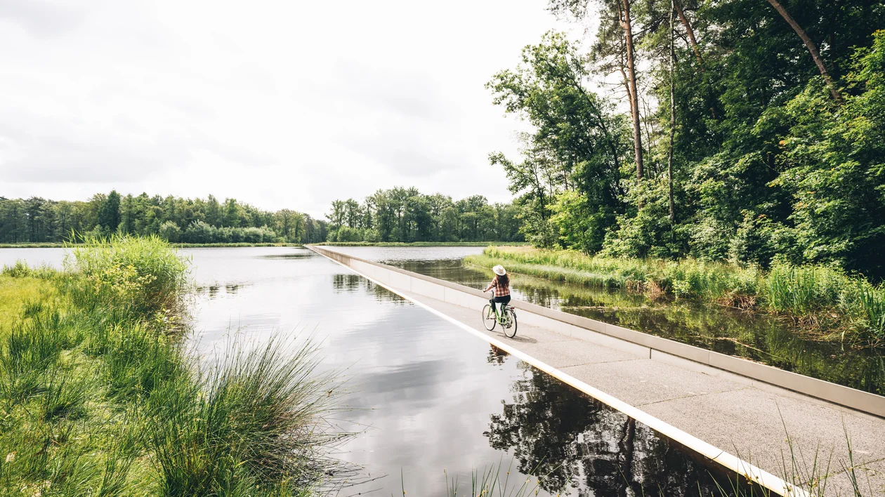 Cyclist rides on a narrow path through a flooded forest area on a cloudy day.