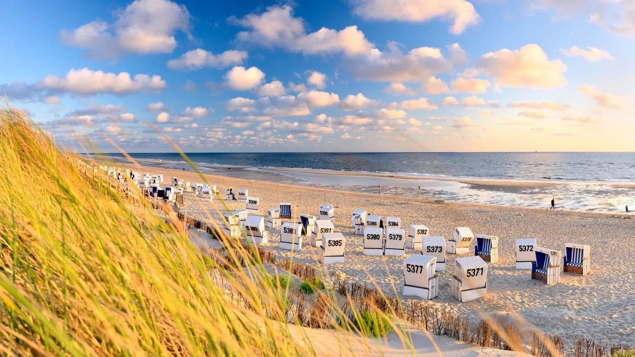 Beach with grass-covered dunes, many beach chairs, and a partly cloudy sky at sunset.