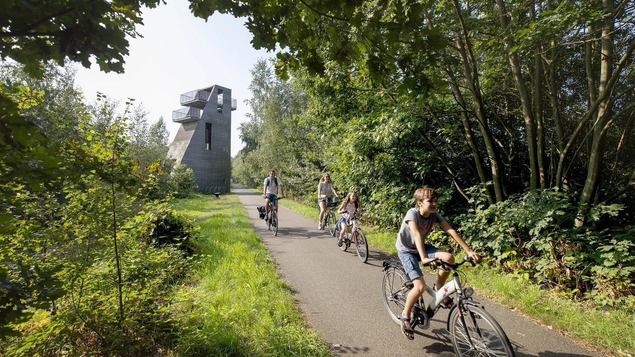 Children riding bikes on a paved path through a green, wooded area with a tall tower ahead.