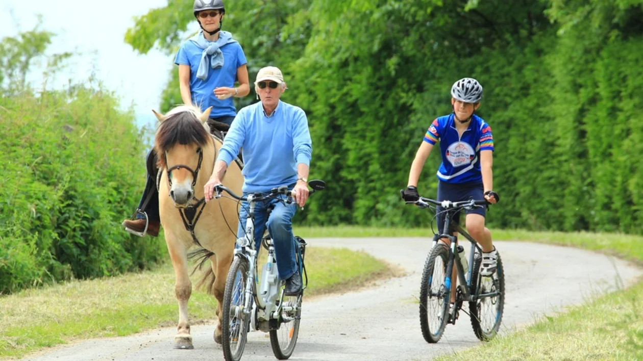 Two cyclists and a horseback rider travel down a winding, tree-lined path.