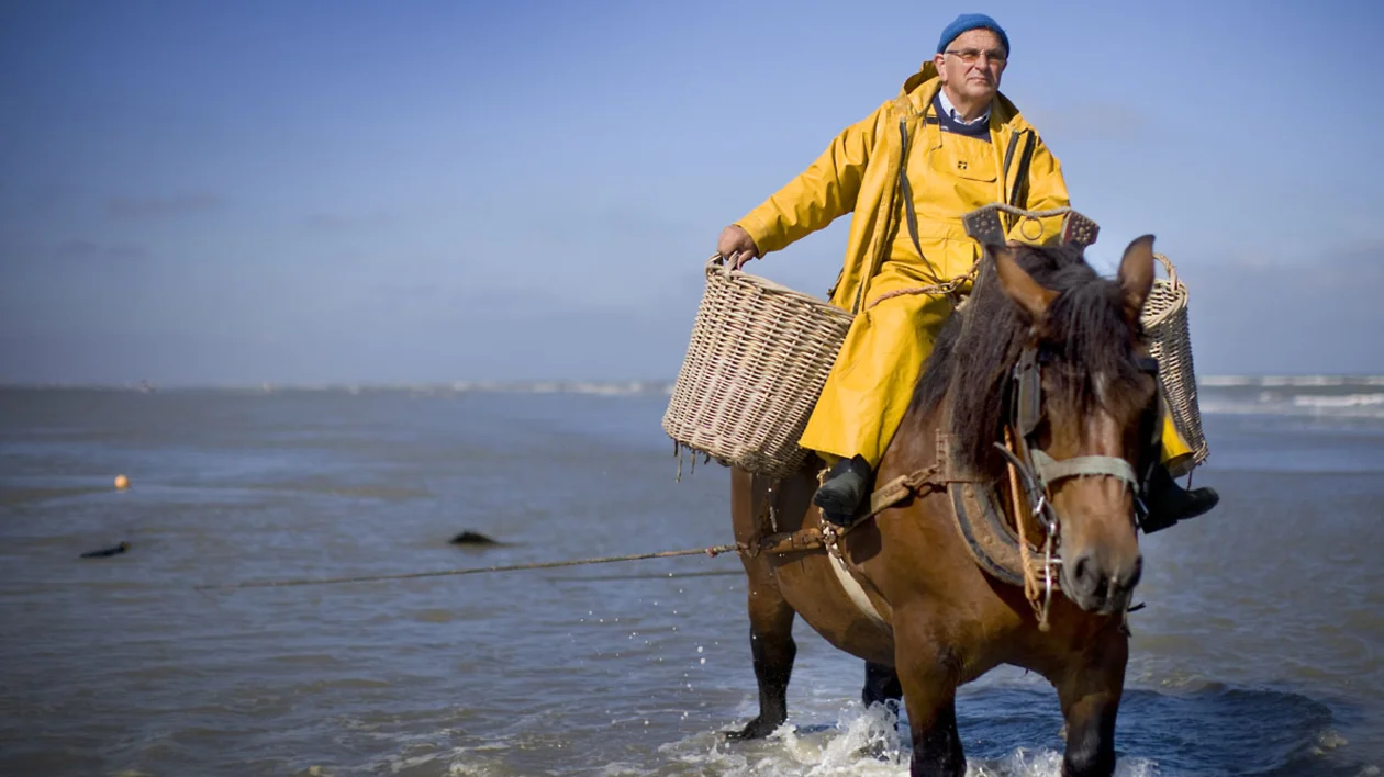 Person in yellow rain gear riding a horse through shallow water with baskets attached.