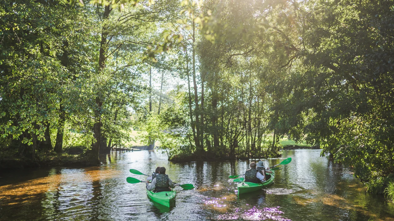 Two people kayaking through a sunlit, tree-lined river.