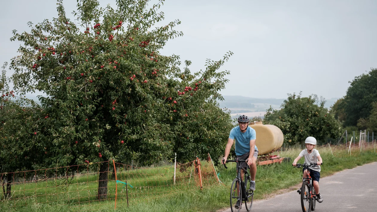 Two people ride bikes on a rural path beside an apple tree and a hay bale.