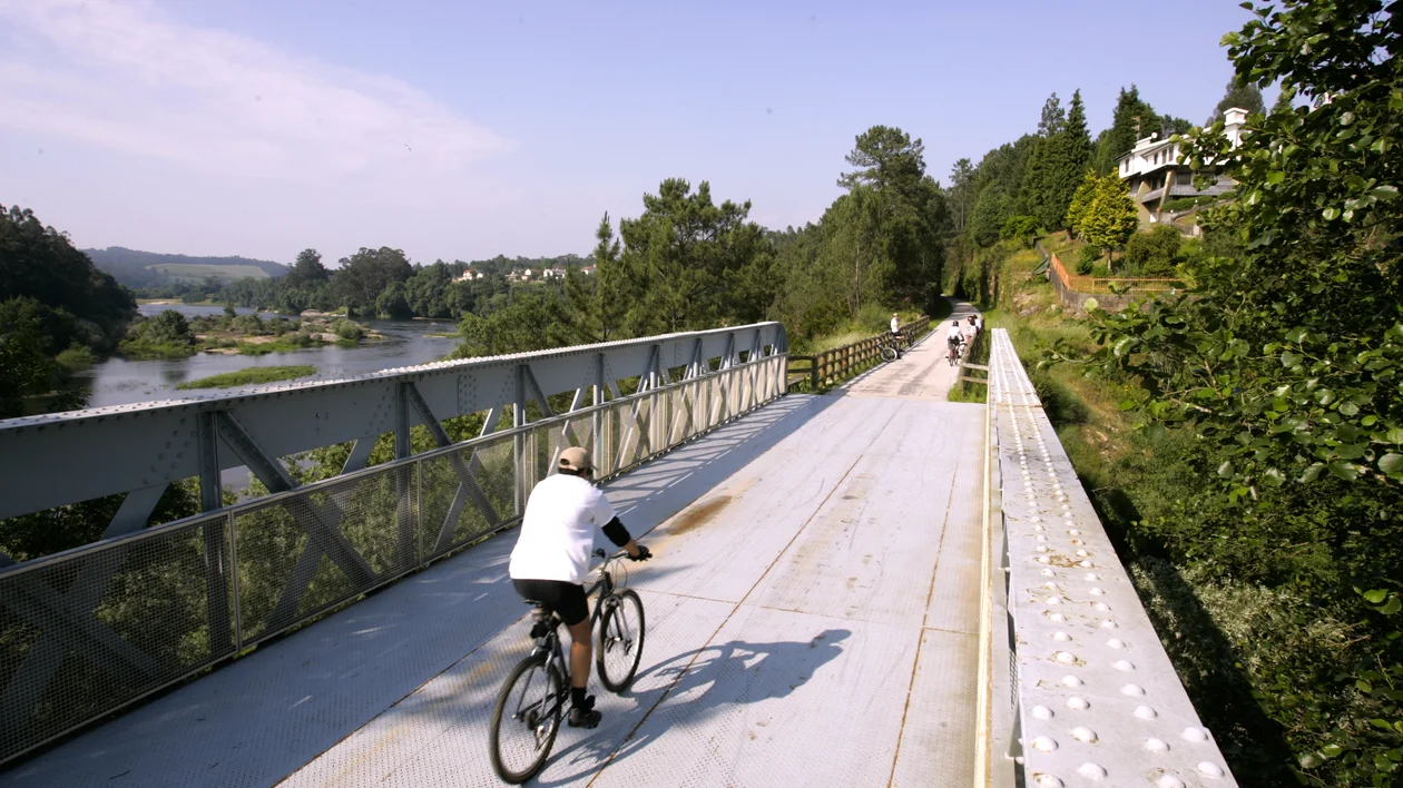Person riding a bicycle on a bridge surrounded by trees and a river on a sunny day.