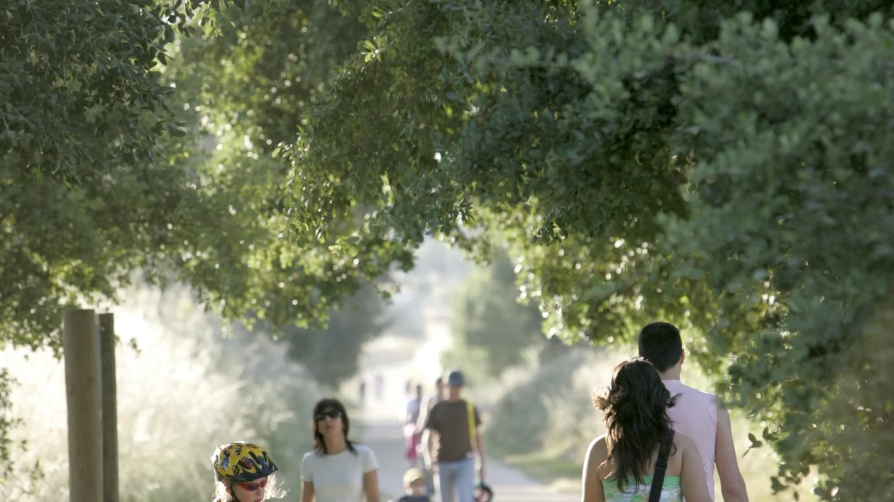 People walking and cycling on a sunny, tree-lined path.