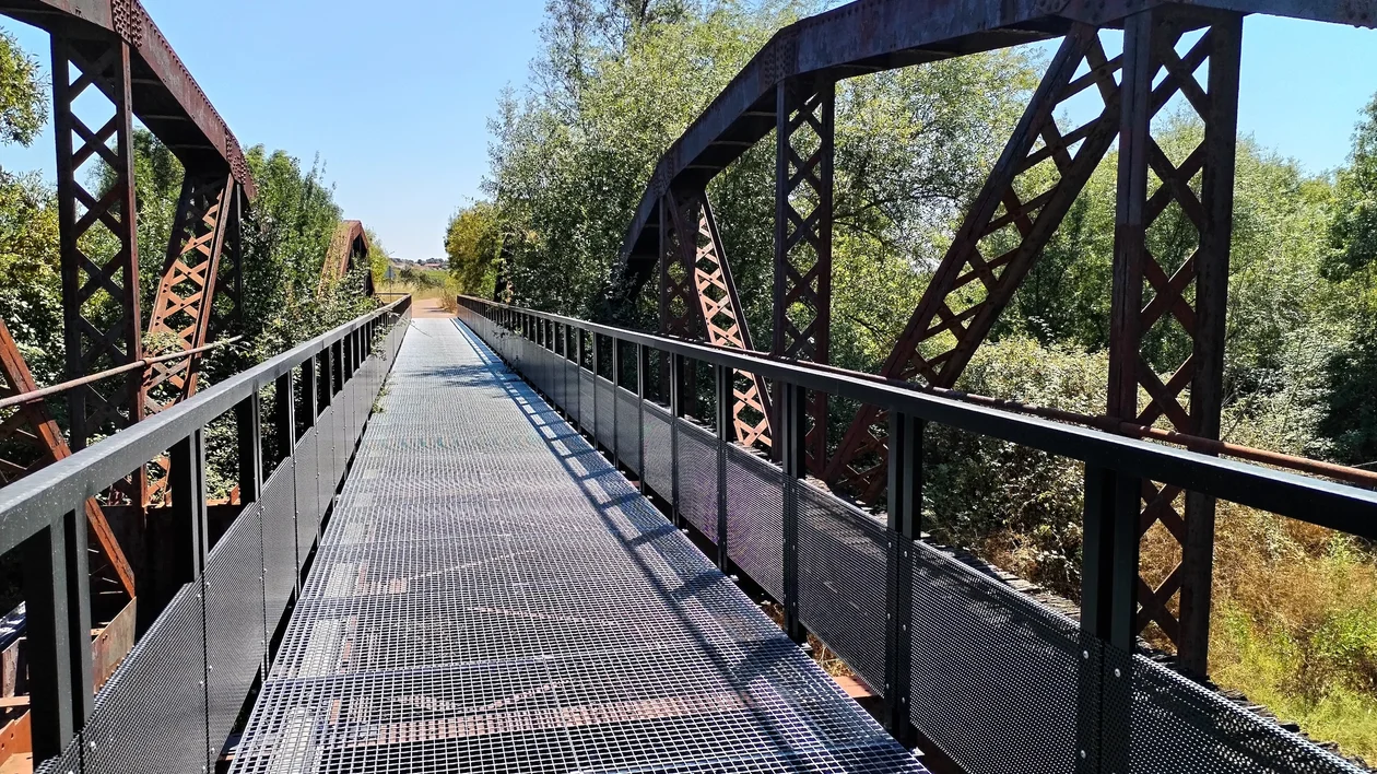 Metal footbridge with black railings and rusted beams, surrounded by green trees.