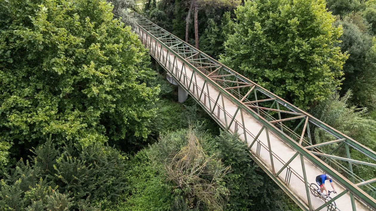 Cyclist crossing a metal bridge surrounded by lush green trees.