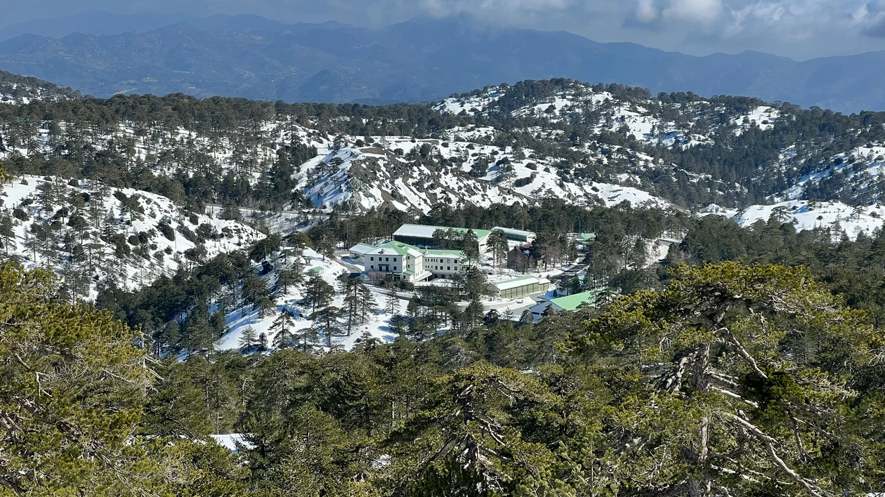 Buildings nestled among snow-covered pine trees on a mountain slope under a blue sky.