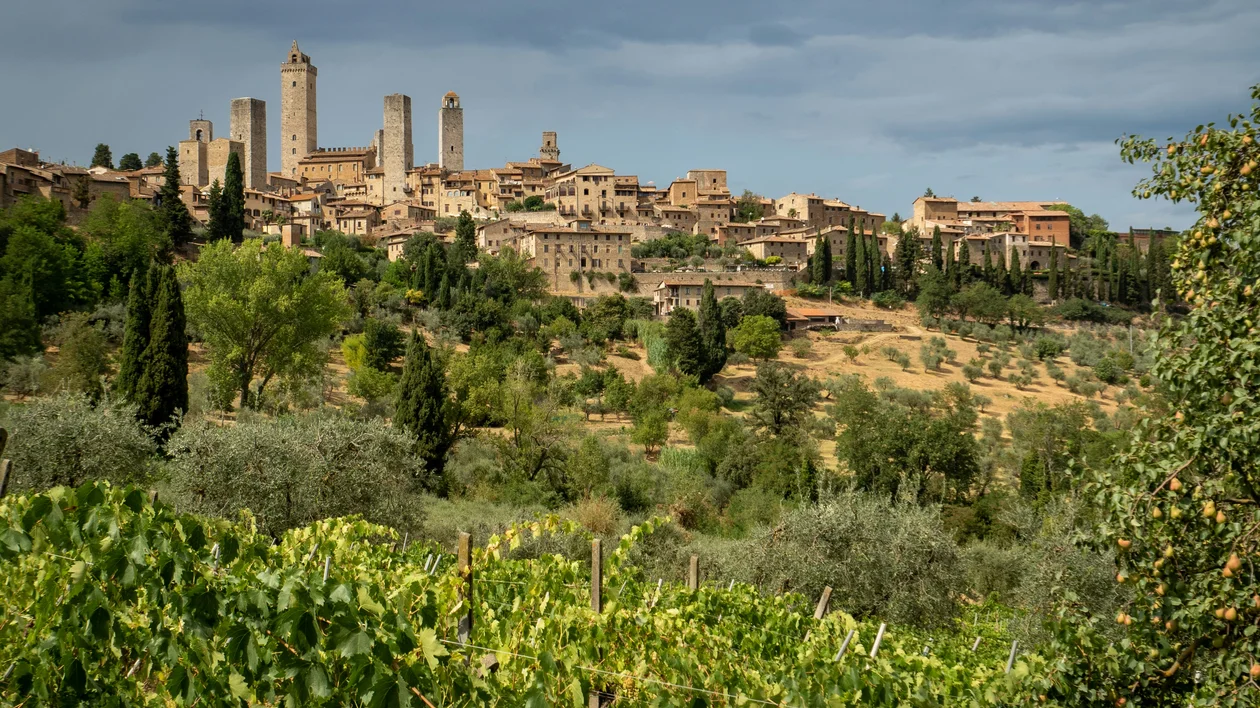 Medieval hilltop town with towers and lush green vineyards under a cloudy sky.