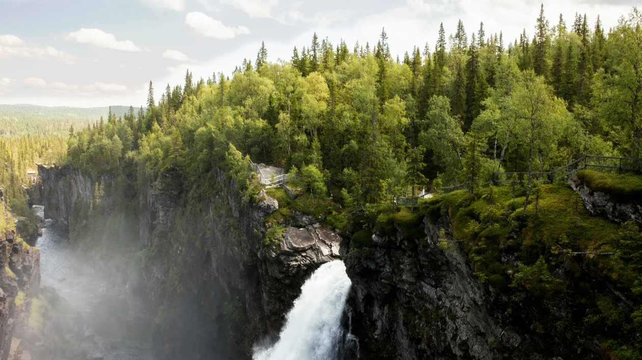 Waterfall cascading through a rocky gorge surrounded by dense green forest.