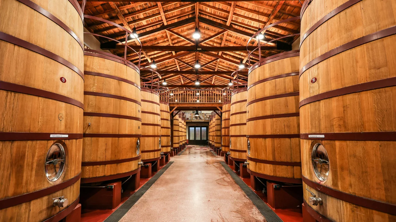 Large wooden wine barrels lined up in a winery cellar with warm lighting.