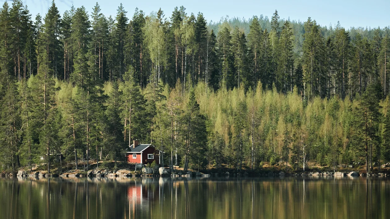 Red cabin by a calm lake surrounded by dense green forest and trees reflected in the water.