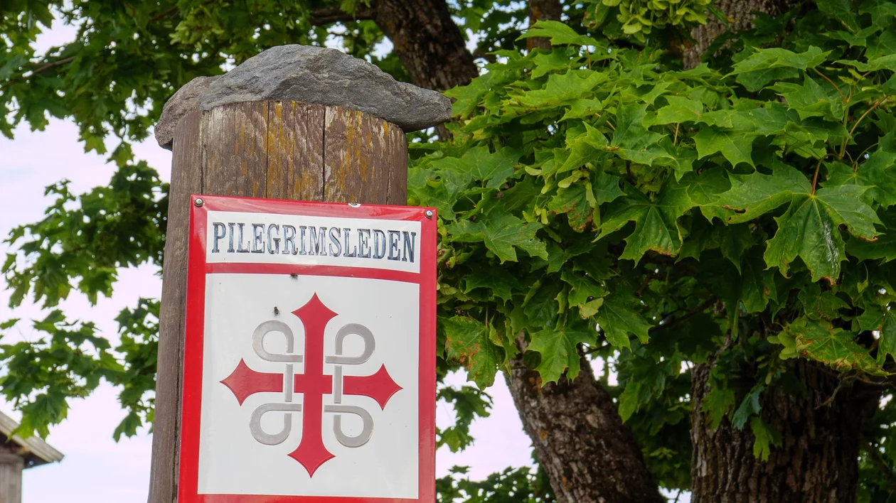 Red and white hostel sign on a wooden post near a leafy tree.