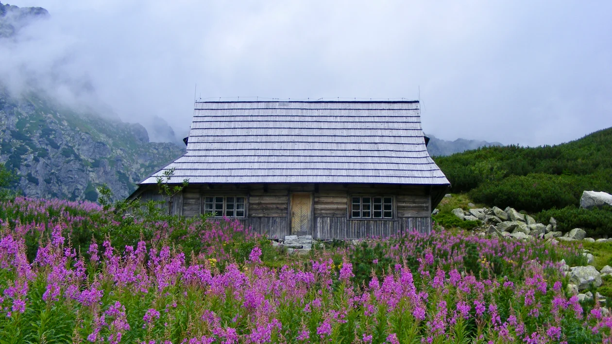Wooden cabin surrounded by purple wildflowers and misty mountains.