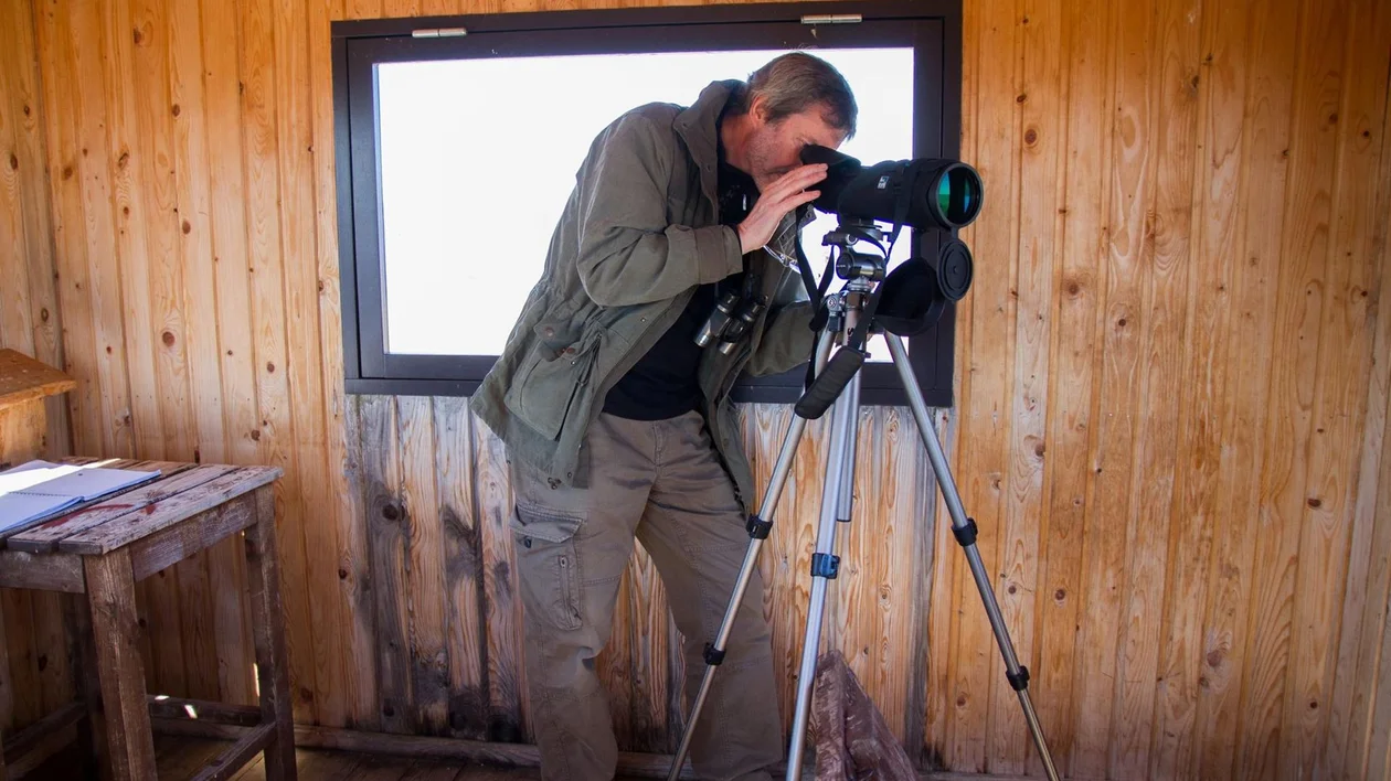Man looking through a spotting scope on a tripod in a wooden observation room.