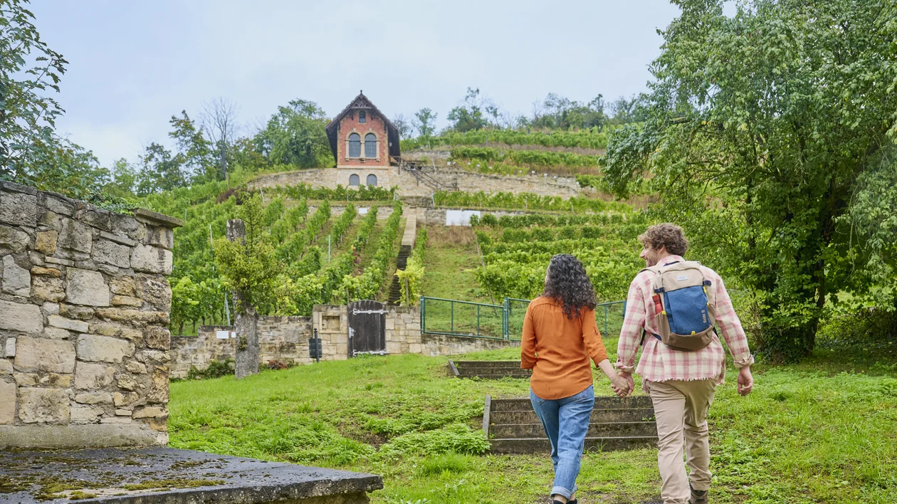 Couple holding hands walking toward a hillside vineyard with a small house above.